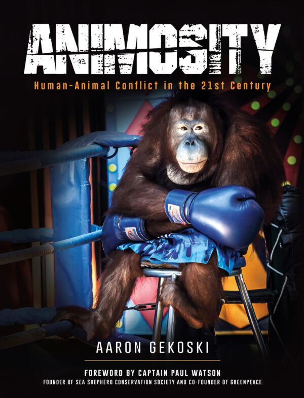Animosity - Human Animal Conflict in the 21st Century