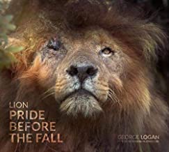 New photography ebook helps to save lions from extinction